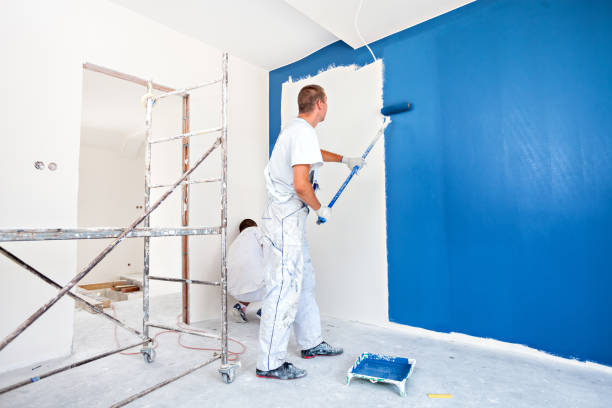 Pro Done painter applying a fresh coat in a Dublin interior